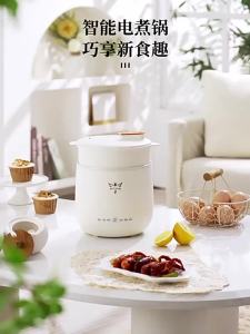 Electric Caldron Student Dormitory Small Electric Pot Multi-Functional Mini Electric Food Warmer Household Small Electric Chafing Dish Cooking Instant Noodle Pot