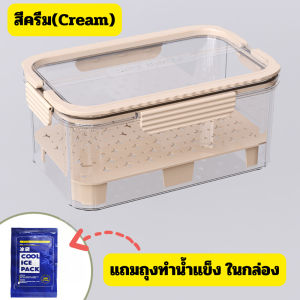 กล่องปิกนิก กล่องใส่ของสด ผลไม้ เครื่องดื่ม ที่เก็บของในตู้เย็น แบ่งช่องระบายน้ำ พร้อมฝาปิด/2098