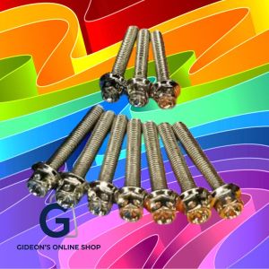 HENG Inner Crankcase Cover Bolt Set of 10 Pieces for Motorcycle Modification. Silver bolts with decorative heads displayed against a colorful abstract background.