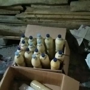 NolarBJ dan NoJMP: Frase Berekor Panjang untuk SEO