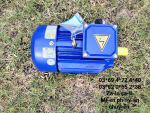 Động cơ motor 3pha 3hp - 22kw Toàn Phát tua nhanh 3000v/p giá rẻ