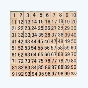 100Pcs Wooden Number Block Building Blocks Puzzle Wooden Tile Number 1 To 100 Mainan Edukasi Anak