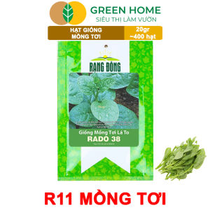 Hạt Giống Rau Mồng Tơi Greenhome Gói 20g~400 hạt Dễ Trồng Quanh Năm Nảy Mầm Cao Thu Hoạch Nhanh Năng Suất Cao R11