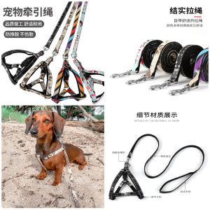 Pet Harness Leash Dog Cat / Tali Tuntun Anjing Kucing Polyester Motif