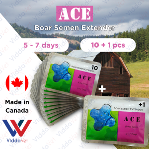 Viddavet 10+1 Boar Semen Extender 5-7 days Ace boar medium term Boar semen for boar vim semen extender for pig