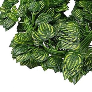 Daun Rambat Semangka Plastik: Dekorasi Cafe Murah & Kualitas Terbaik