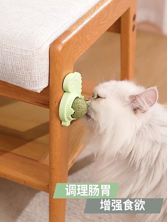 Cat Catnip Ball Rotatable Edible Licking Balls Mint Ball Kitten Teeth