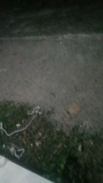 Buyer review video 5