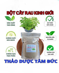 túi 100g bột cây rau kinh giới nguyên chất