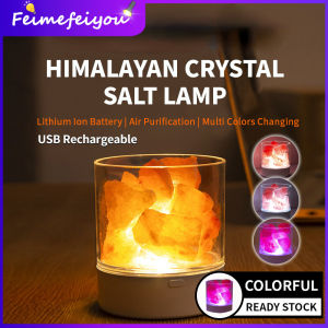 Himalayan Crystal Salt Lamp Colorful LED night lights for bedroom USB Rechargeable Flame lamp Cup With Dimmer Switch Air Purification