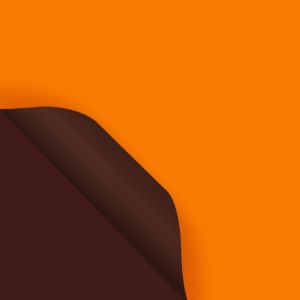 กระดาษห่อดอกไม้ สีพิ้น กันน้ำ (20แผ่น/แพ็ค) ขนาด56x54cm มีหลายสีให้เลือก ห่อดอกไม้ กระดาษ กระดาษห่อ งานกระดาษ  ประณีตและสวยงาม เหมาะสำหรับตกแต่งดอกไม้