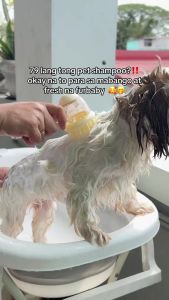 PETWELL Pet Shampoo 500ML Anti Tick and Flea Long-lasting fragrance flavor Antibacterial Anti-mite