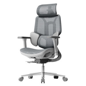 Hbada E3 Air / E3 Pro Ergonomic Office Chair without Footrest