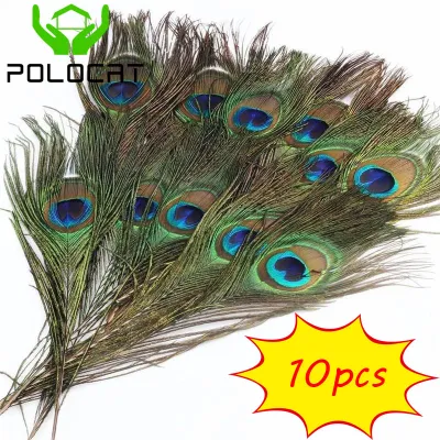 Polocat Hot Sale 10pcs Real Natural Peacock Tail Eyes Feathers Wedding Festival Party Decoration