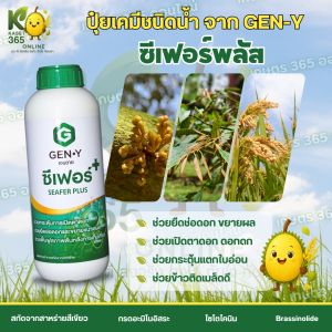 เจนวาย ซีเฟอร์พลัส 1L. สูตรเพิ่มไซโตไคนิน X3 (สารสกัดจากสาหร่ายสีเขียวและกรดอะมิโนแบบสกัดเย็นเข้มข้น) ช่วยกระตุ้นการแตกใบอ่อน เปิดตาดอก ขยายขนาดผล ฟื้นฟูสภาพต้นโทรมหลังเก็บเกี่ยว
