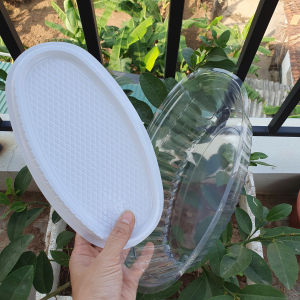50 cái hộp F70 Nhựa Oval Đáy Trắng Hàng VN - Hộp đựng bánh các loại - Để vừa khuôn Ovan D08