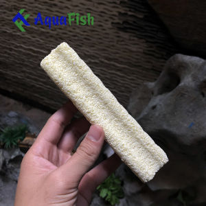 [HOÀN TIỀN 10%]Combo 10 Sứ Thanh Hoa Mai Giúp Lọc Nước Bể Cá Hồ Cá