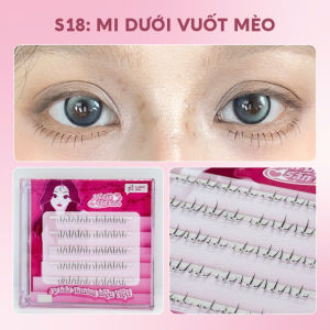 Lông mi giả sẵn keo Lookme Star dễ dàng gắn có độ cong mi giả gân trong tự nhiên mềm nhẹ tái sử dụng nhiều lần