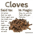 20g CLOVES HERBS for Scent for Hair House Scent Face Whole Clove Dried Clavo de Comer Spices Seasoning Alternative to Mismar Nanaysbest. 