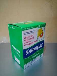 1 BOX isi 120 Lembar Koyo - Salonpas Koyok Plester Pereda Nyeri Sendi Tulang Bengkak