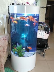 Floor Standing Cylinder Acrylic Fish Tank Round Perspex Aquariums Glass Lamp Gold LED Decoration Luck Clear 金鱼缸客厅小型半圆形玻璃