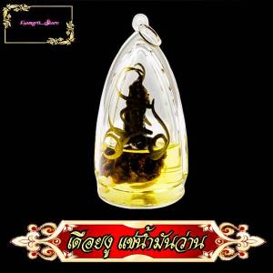 เดือยงุเหลือม หรือว่า นาคาเกียวทรัพย์ ซึ่งเป็นของที่มีอาถรรพในตัวเอง ที่เรียกว่าของวิเศท ซึ่งจะมีเฉพาะงูตัวผู้ที่แก่แล้วเท่านั้น