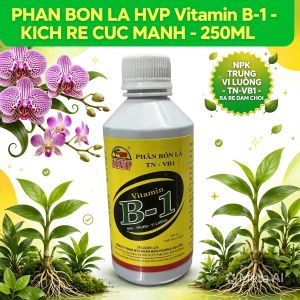 Phân Bón Lá HVP TN Vitamin B-1 (Chai 250ml) - Siêu Kích Rễ Giải Độc Cây Bật Chồi Thần Tốc Phục Hồi Cây Suy Yếu.