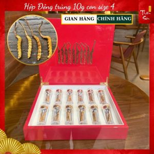 Đông trùng hạ thảo Tây Tạng khô nguyên con loại Đông trùng Hạ Thảo Cao cấp loại hộp quà 10g size 4 con/gr