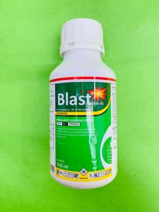 Fungisida Padi BLAST 200SC isi 500ml dari AGRICON F