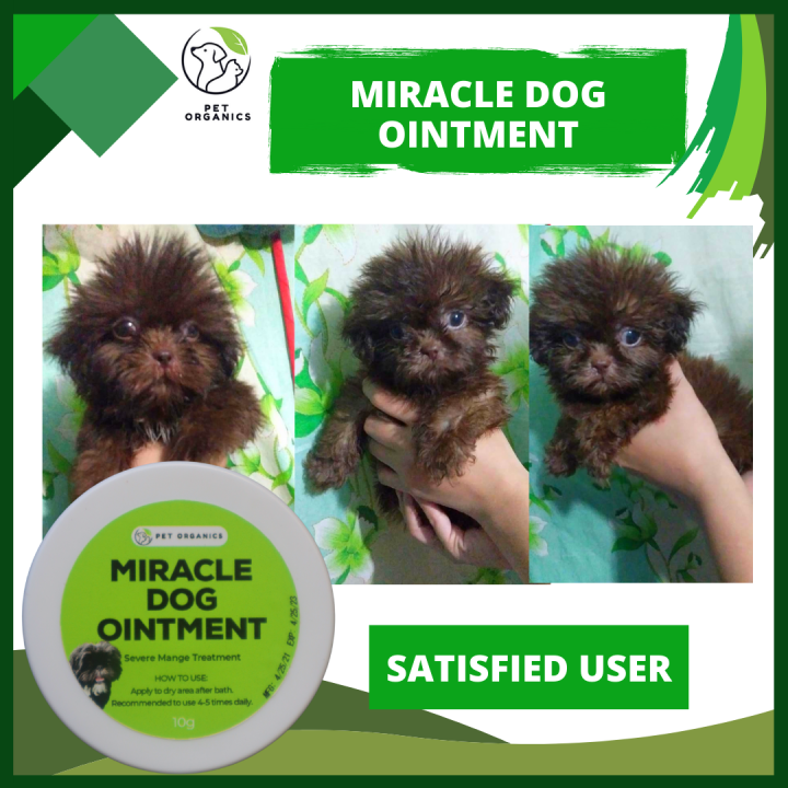 Miracle Dog Ointment Cream For Dog (Healing Cream) Pure Madre De Cacao