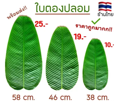 ใบตองปลอม ใบตอง ใบกล้วย ใบตองเทียม