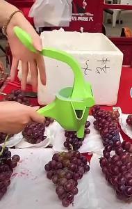 Small Manual Hand-Press Lemon Orange and Fruit Juicer for Home Please Check the Selected Variation Size Colour Quantity Compatibility and Package Contents Shown in Product Images Before Ordering