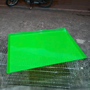 combo 2 KHAY NHỰA 60X80 HỨNG PHÂN CHIM PHÂN GÀ LOẠI DẺO