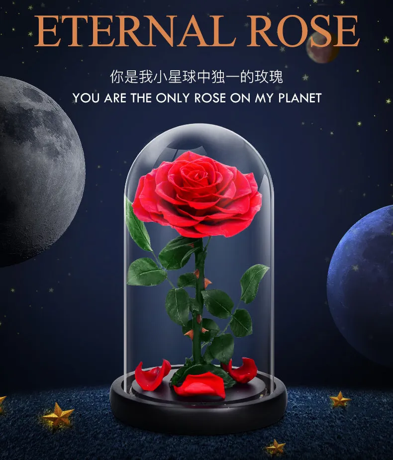 221Seangel Preserved Fresh Flower Real Rose Eternal Rose in Glass