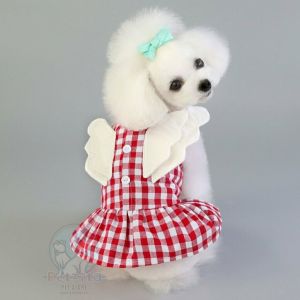🇹🇭 Pet Shop 🐰🐝 เดรสคอบัวขาวดีเทลสะพายตุ๊กตา 💕 สำหรับผ่อนผ้าสัตว์เลี้ยง เสื้อสุนัข และหมา 🍃 น่ารักมากจ้า