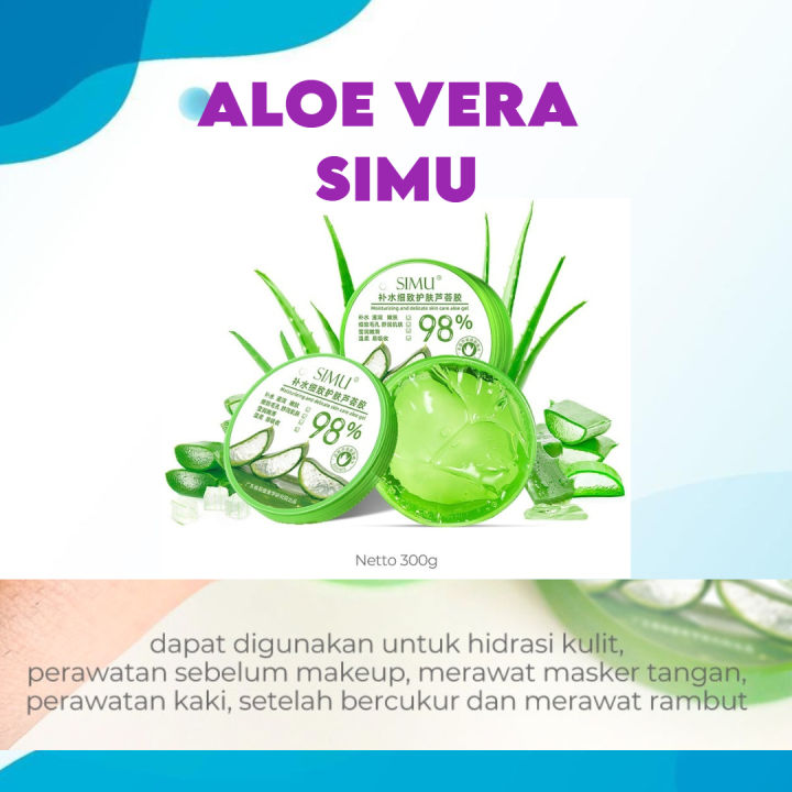 aloe vera pflanze nutzung Aloe Vera „Alfonso“ – Aloe-Vera-Pflanze in Gärtnerqualität kaufen main image 0