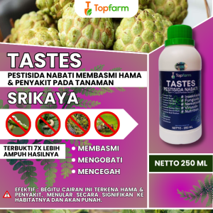 Obat Pestisida Pohon Buah Srikaya / Obat Tanaman Buah Srikaya / Obat Buah Srikaya / Obat Hama Buah Srikaya / Obat Semut Buah Srikaya