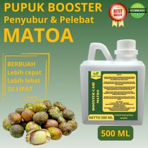 Pupuk Pelebat Matoa / Pupuk Buah Matoa / Pupuk Booster Matoa / Pupuk Matoa
