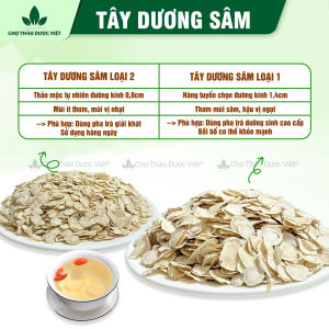 Sâm tây dương thái lát mỏng 1kg (Sâm hoàng kỳ khô bạch sâm) - Chợ Thảo Dược Việt