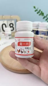 禽一片鸡鸭鹅养殖禽类急救片呼吸道肠道感冒呼噜拉稀气喘咳嗽鸡瘟