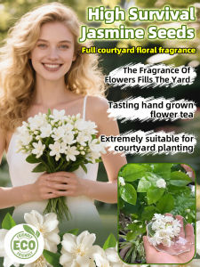 Double Petals Fragrant Jasmine /Year-round Blooming Aromatic Garden & Indoor Plant/Pet-safe Potted Flowers For Balcony Gardening Enthusiasts