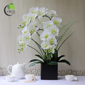 Hoa giả bình hoa lan hồ điệp cao su đẹp tự nhiên sang trọng phù hợp để bàn trang trí nhà cửa