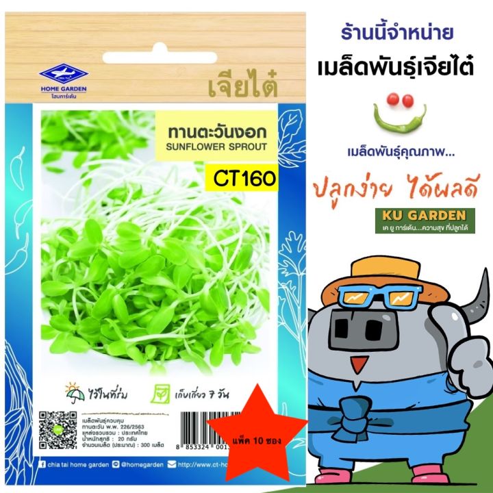 เจียไต๋ ทานตะวันงอก แพ็ค 10 ซอง ตราเครื่องบิน