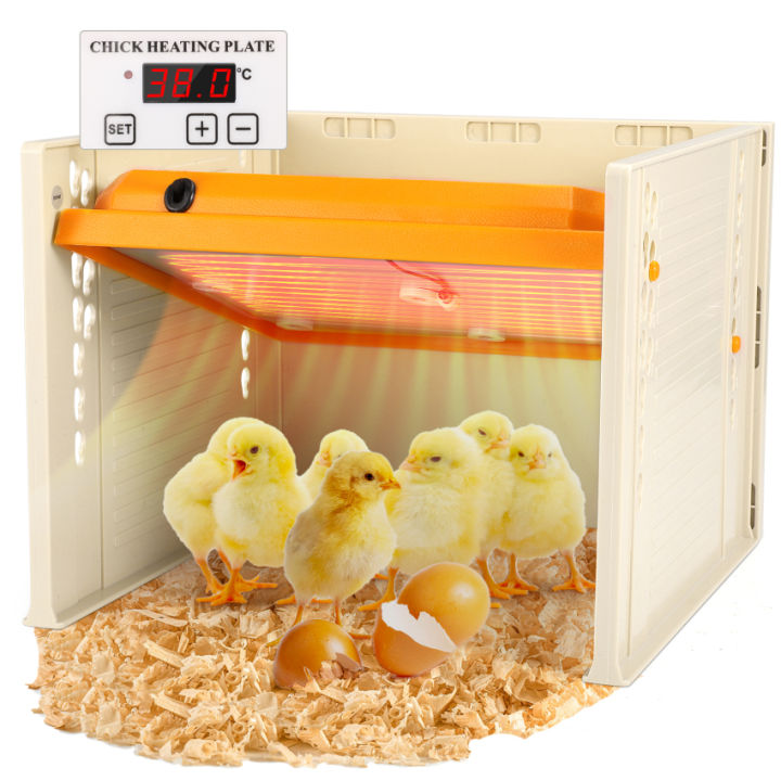【Local delivery】Brooder Heater For Chicks, Chick Brooder Heating Plate ...