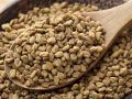 Biji Halba 250gr | Fenugreek Seed Kelabat Hulbah | Methi [ORIGINAL]. 