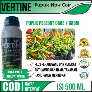 PELEBAT CABE/CABAI Tanpa Penyakit dan Hama di Musim Hujan - VERTINE Pupuk Organik Cabe/Cabai Terbaik dan Terlaris Obat Hama Cabe/Cabai Paling Ampuh Melebatkan Cabe Merah Cabe Rawit Tanpa Rontok