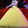 12 Hoops Puffy Big Petticoat Fluffy Underskirt for Ball Gown Wedding Dress Pageant Dress Bottom Hoop Diameter 170cm. 