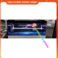 "Hoàn tiền đến 10%" Giá Treo Đèn Bể Cá Tanning Cá Rồng Kích Thước 40cm Chất Liệu Thép Không Rỉ Thương Hiệu MAYIN. 