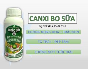 Phân bón lá Canbo Sữa 500ml - Chống rụng hoa trái non cho cây ăn trái.