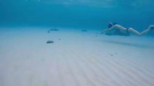 Professional แว่นตาดำน้ำกล้องหน้ากากดำน้ำแว่นตาว่ายน้ำท่อหายใจสำหรับดำน้ำอุปกรณ์ดำน้ำผู้ถือกล้องสำหรับ Go Pro